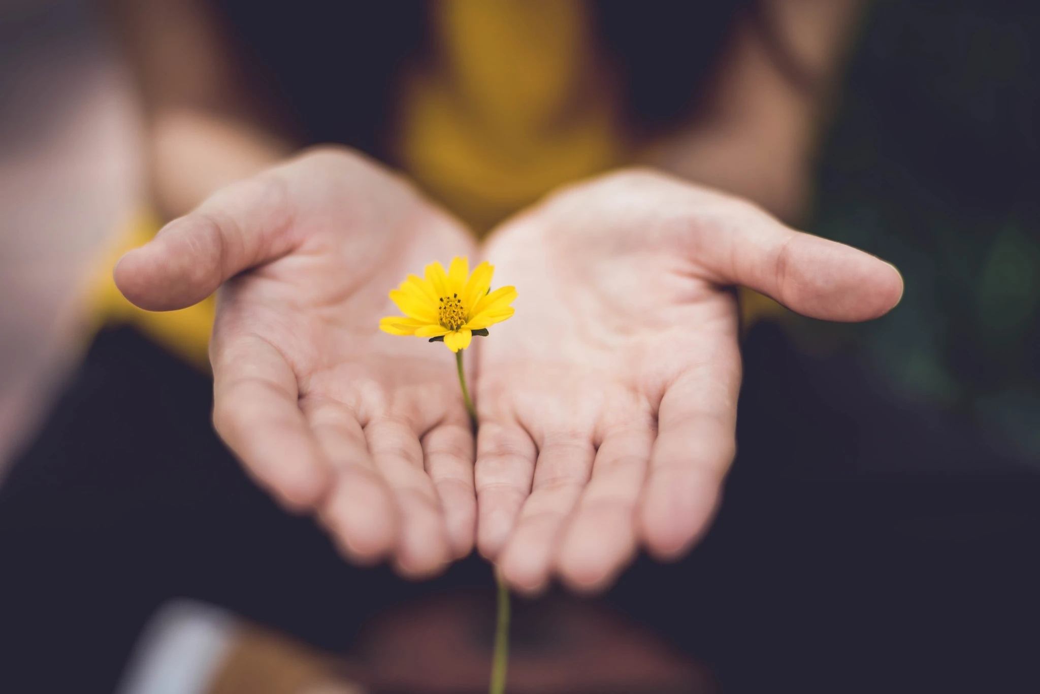 free support for those - who need it the most. Try our peer support and DBT services at a pay what you can basis. If you have no funds, you still get an appointment. 