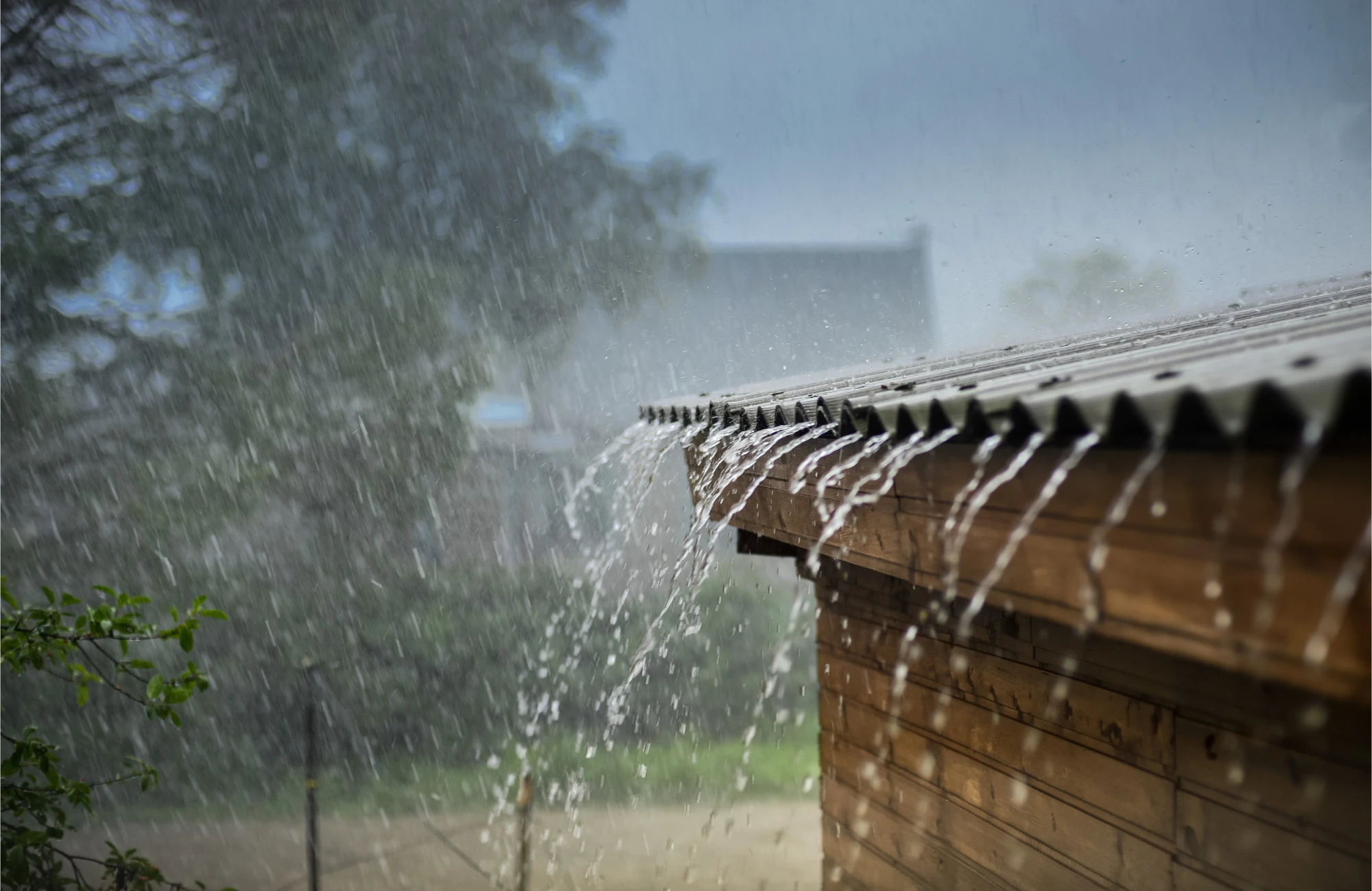 Audio Diary - The Rain