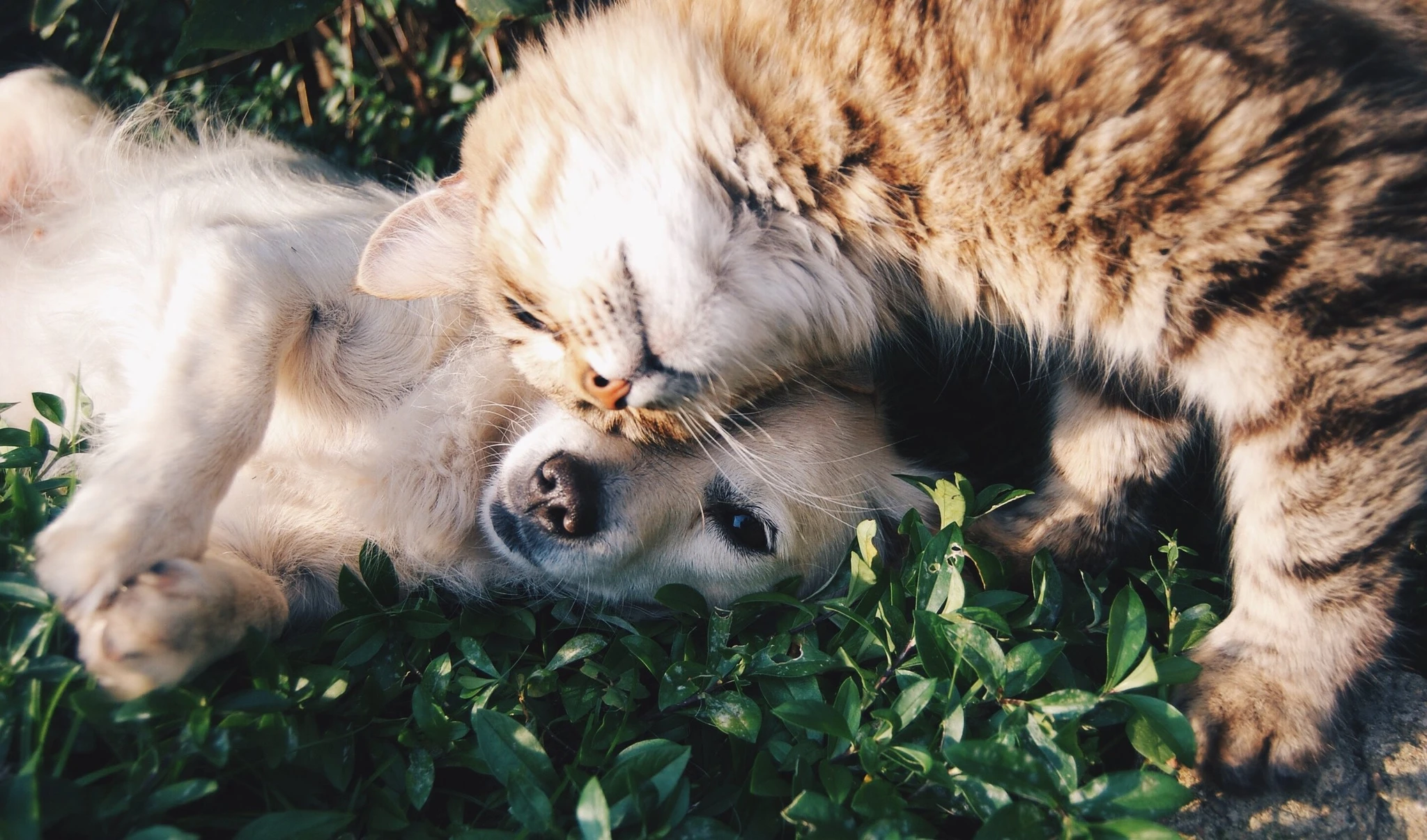 Episode 2: Friendships