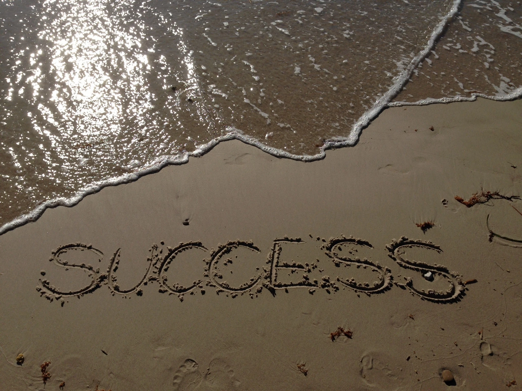 Episode 4: When You Succeed